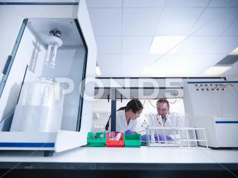 Scientists In Laboratory With Samples And Analytical Scientific Equipment