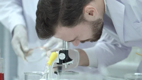Scientists look at a microscope to see something. Stock Footage 124585033