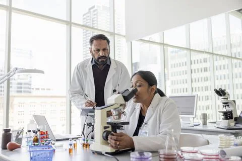 Scientists looking at petri dish under microscope in laboratory Foto stock