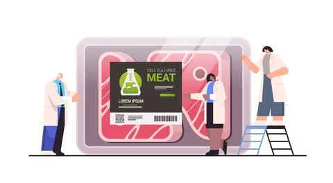 Scientists looking at plastic container with cultured red raw meat made from Illustrazione stock
