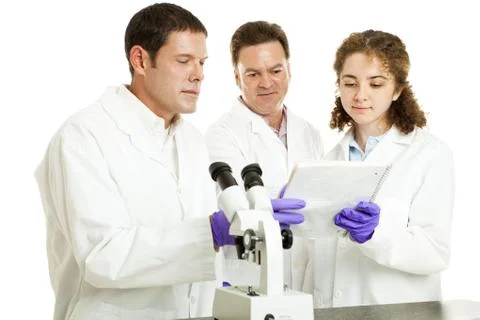 Scientists Read Test Results Stock Photos