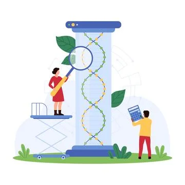 Scientists Researching DNA Structure concept 스톡 일러스트