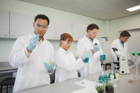 Scientists standing in a row while working Stock Photos