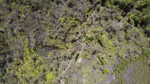 Scientists studying dying trees in barren land Africa, drone spin zoom in Stock Footage 254718788
