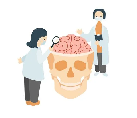 Scientists studying human brain. Doctors in white coats carefully examining Stock Illustration