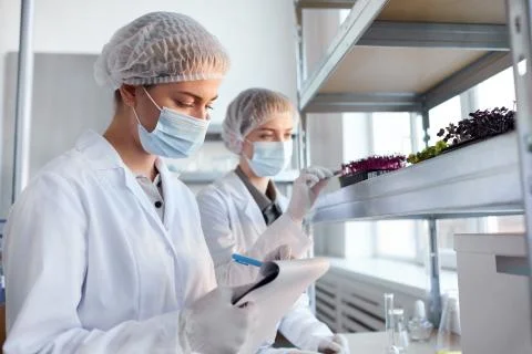 Scientists Studying Plants in Bio Laboratory Stock Photos