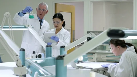 Scientists swirling an Erlenmeyer flask Video stock 77078563