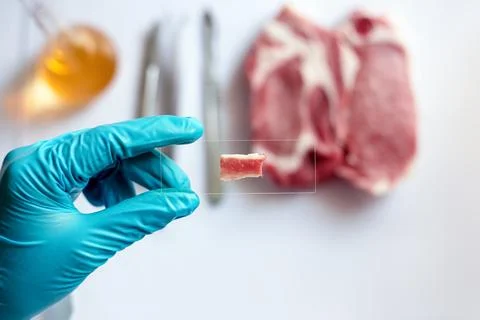 Scientists take samples of factory-produced meat prepared on a microscope s.. Stock Photos