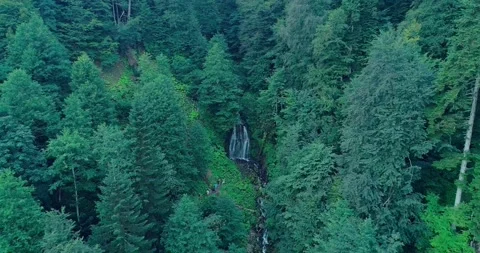 Scientists team approach waterfall in deep forest. Hiking scientific expedition Stock Footage 209127050