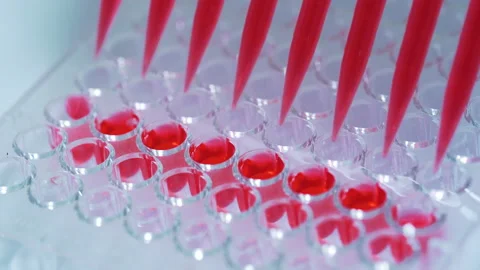Scientists test for Covid-19  by using science tubes to research  in a lab.  Stock Footage 137155764