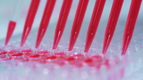 Scientists test for Covid-19  by using science tubes to research  in a lab.  Video stock 137155840