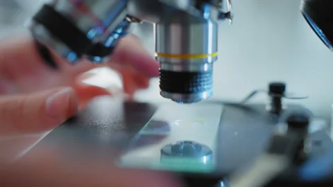 Scientists using microscope in Bio lab and experiment, Concept science and Stock Footage 259615068