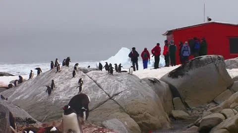 Scientists visit a research station in Antarctica as penguins look on. Stockbeeldmateriaal 27144953