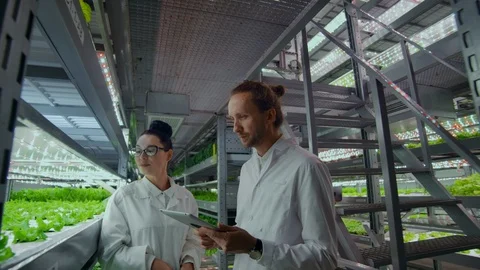Scientists in white coats with a tablet discuss research on growing fresh Stock Footage 113340825