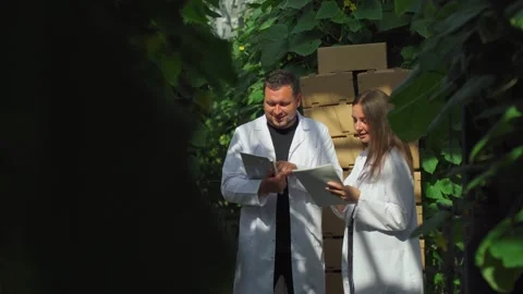 Scientists in white coats talk about developing new varieties of vegetables Stock-Footage 303486673