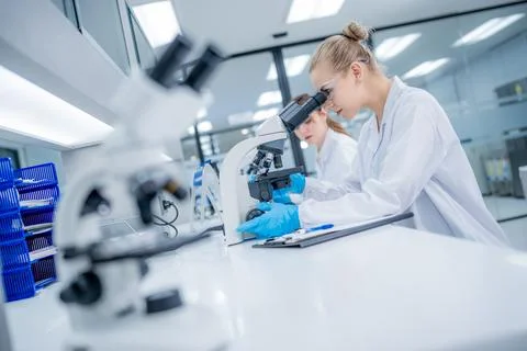 Scientists work in a lab using a microscope to study samples during the day Stock Photos