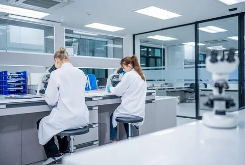 Scientists work at laboratory desks using microscopes for research in a mod.. Stock Photos