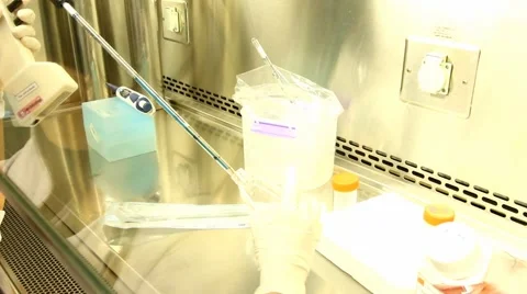 The scientists work in laboratory. Stock Footage 54025927