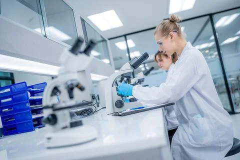 Scientists work in a laboratory using microscopes during the day to study s.. Stock Photos