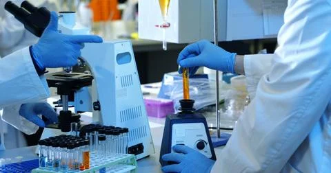 Scientists work with a microscope in a lab, with copy space 写真素材