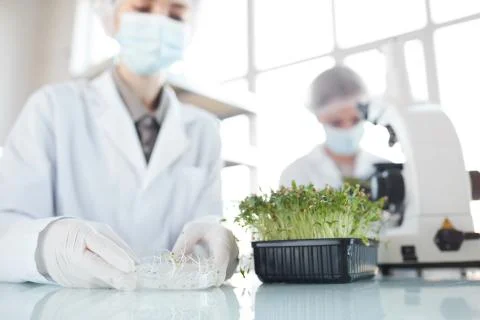 Scientists Working in Bio Laboratory Close Up Stock Photos