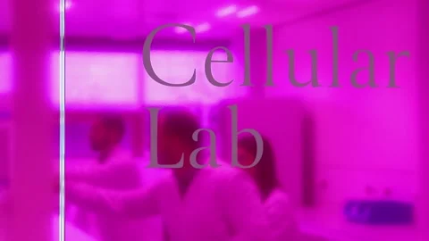 Scientists working in cellular lab with magenta lighting Stock Footage 296885994