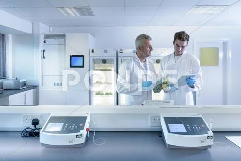 Scientists Working In Laboratory In Food Packaging Printing Factory