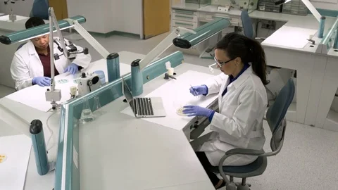 Scientists working in a laboratory Stock Footage 77095810