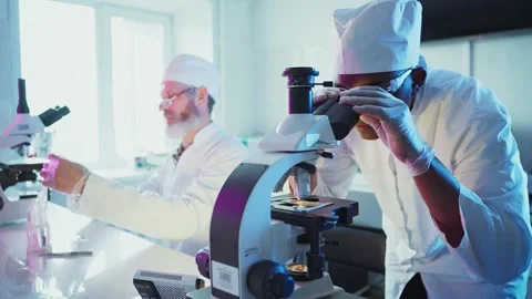 Scientists working in modern laboratory analyzing samples Stock Footage 304892628