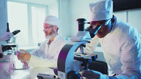 Scientists working in modern laboratory analyzing samples Stock-Footage 306587806