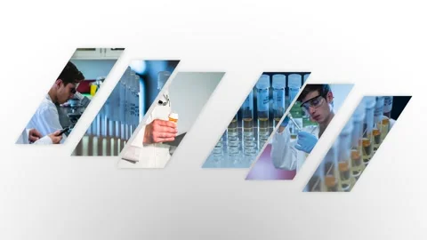 Scientists Working In Pharmaceutical Research Laboratory Stockbeeldmateriaal 144213085