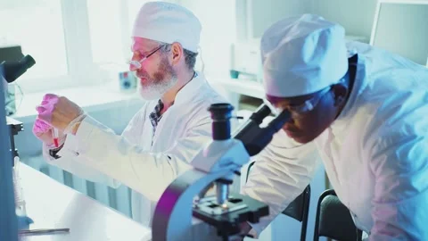 Scientists working together in laboratory analyzing liquid Stock Footage 306593453