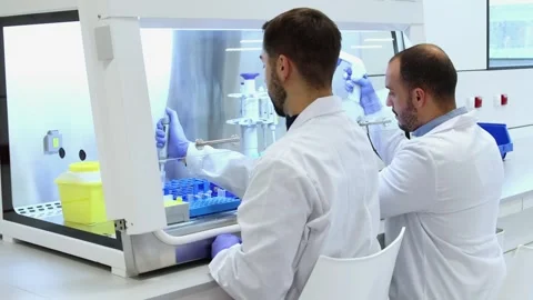Scientists working together in modern laboratory researching new medicine Stock Footage 296884389