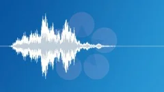 Scifi Accelerate Whoosh 2 (Rise, Speed Up, Noise) Sound Effect