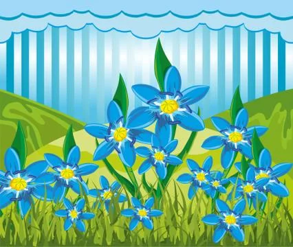 Scilla bifolia Stock Illustration