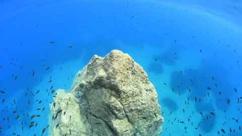 Scilla Chianalea-8767 Video stock 140783487