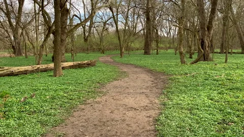 Scioto Grove Trail Slow Motion 库存影片 180190983
