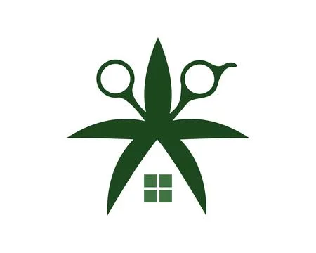 Scissor palm tree with window Stock-Illustration