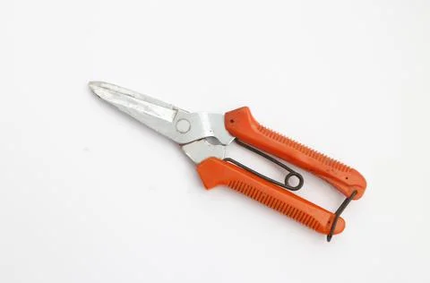 Scissor Stock Photos