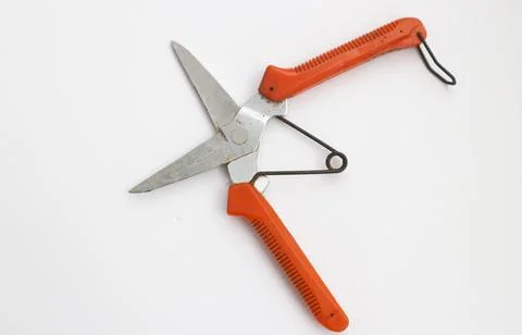 Scissor Stock Photos