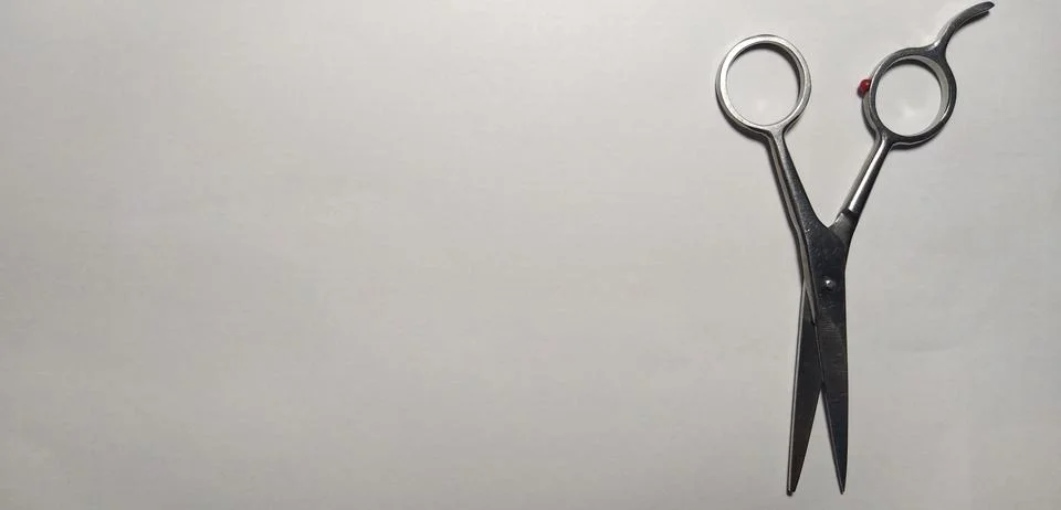 Scissor Stock Photos