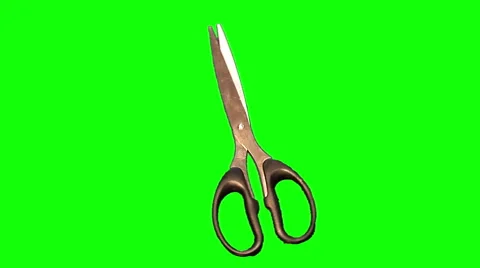 Scissors 01 Stock Footage 44445663