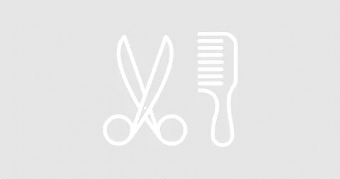 Scissors and comb animated outline icon Stock Footage 241718733