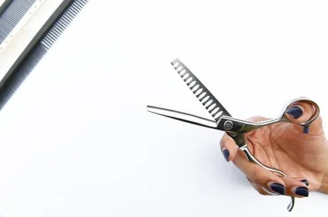 Scissors and comb isolated on background Stock Photos