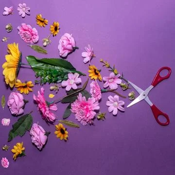 Scissors and flowers creative layout. Flat lay. Concept photography. Stock Photos