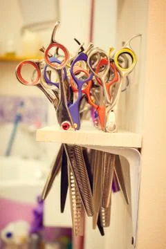Scissors are hardly packed in the cabin 写真素材