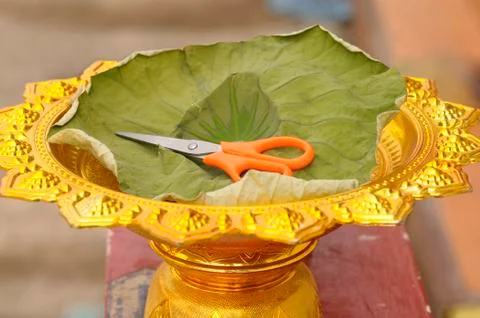 The scissors are placed in gold tray and padded with lotus leaves. Stock Photos