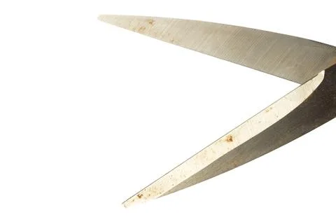 Scissors closeup open isolated on white background Stock Photos
