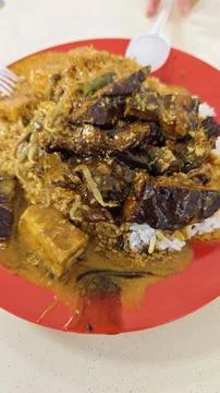 Scissors Cut Curry Rice with Roasted Chicken and Curry Gravy on White Plate Stock Photos