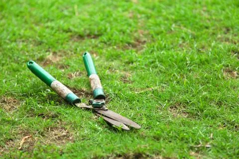 Scissors cut the grass Stock Photos